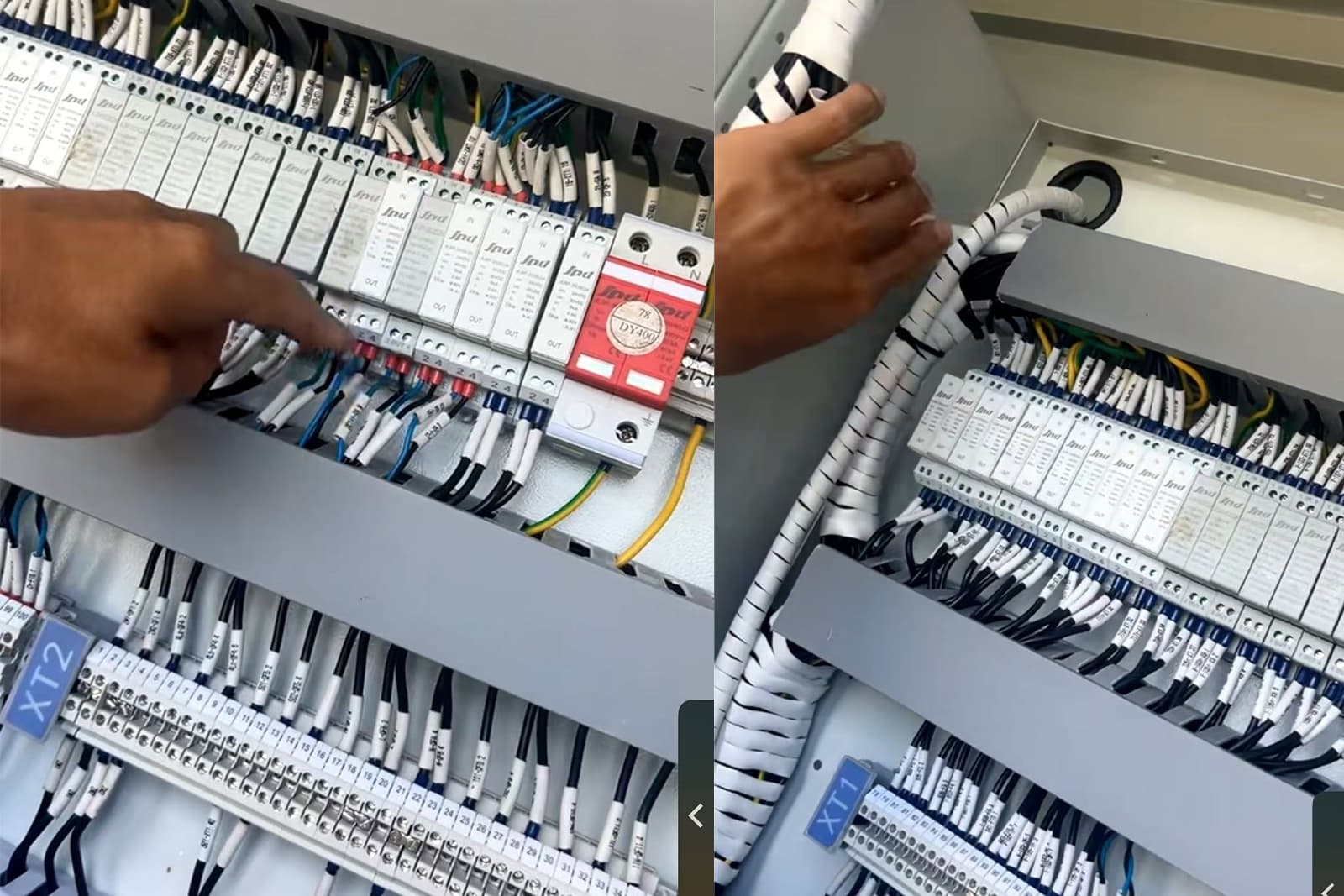signal surge protector